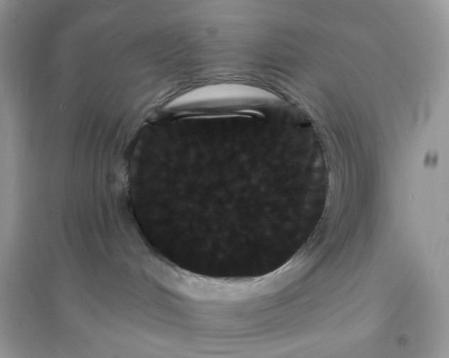 X0000096130048200802011158