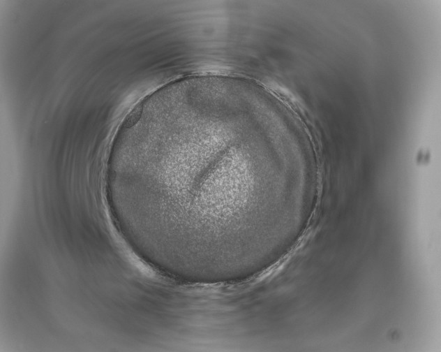 X0000096130049200802011157