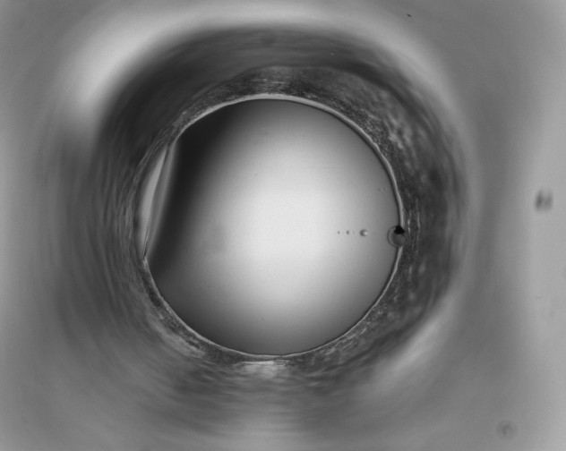 X0000096130050200802011157