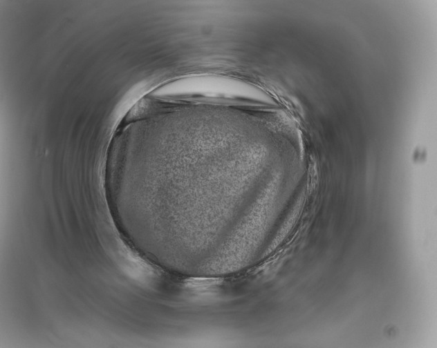 X0000096130051200802011157
