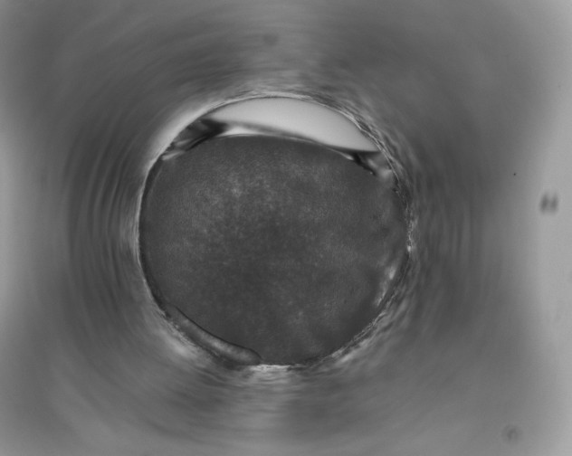X0000096130052200802011157