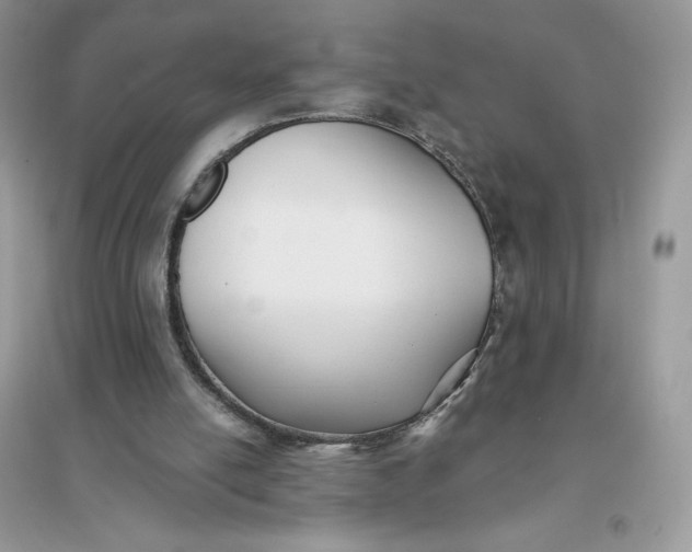 X0000096130054200802011157