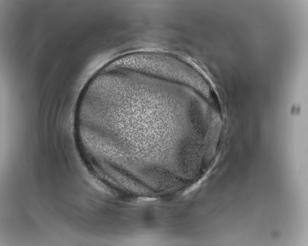 X0000096130055200802011157