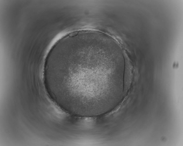 X0000096130056200802011157