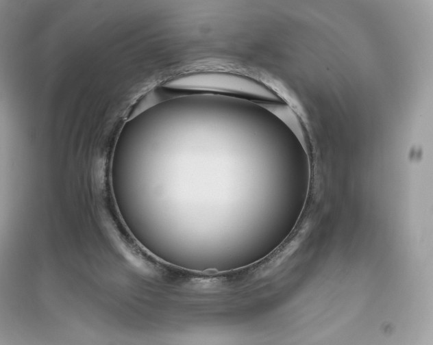 X0000096130057200802011157