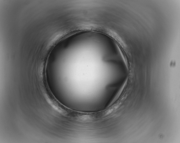 X0000096130058200802011157