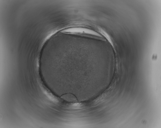 X0000096130059200802011157