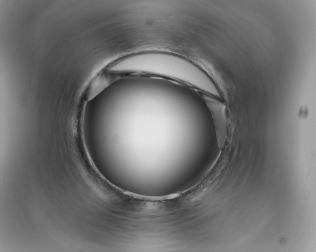 X0000096130060200802011157