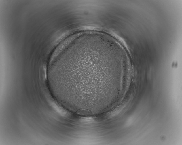 X0000096130061200802011157