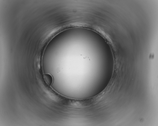 X0000096130062200802011157