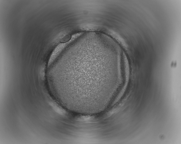 X0000096130065200802011157