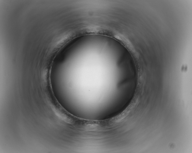 X0000096130066200802011157