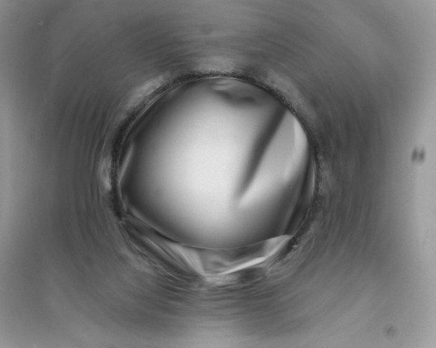 X0000096130068200802011157