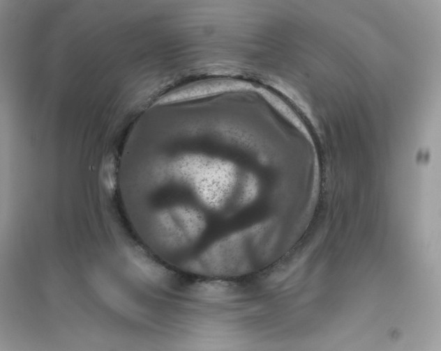 X0000096130069200802011157