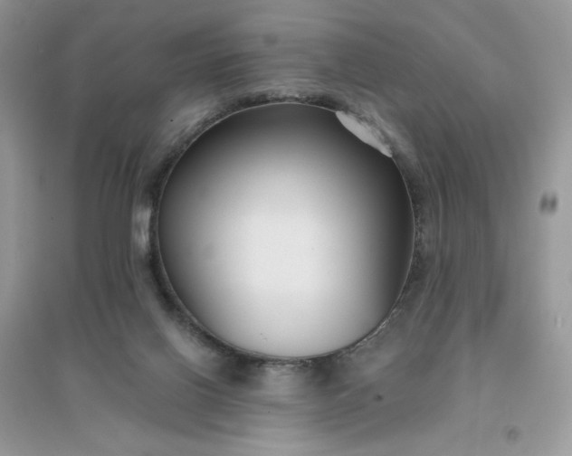 X0000096130070200802011157