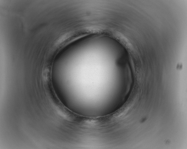 X0000096130071200802011157