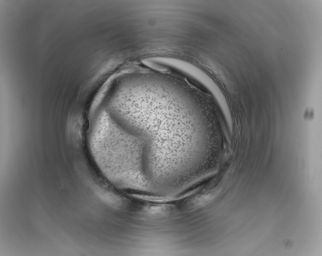 X0000096130072200802011157