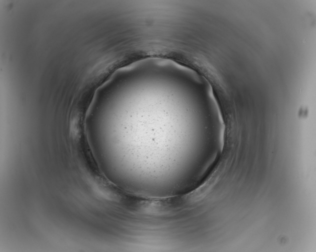 X0000096130074200802011157