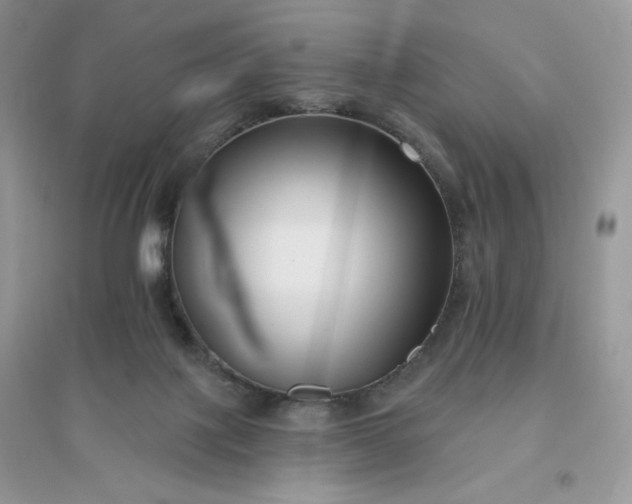 X0000096130075200802011157