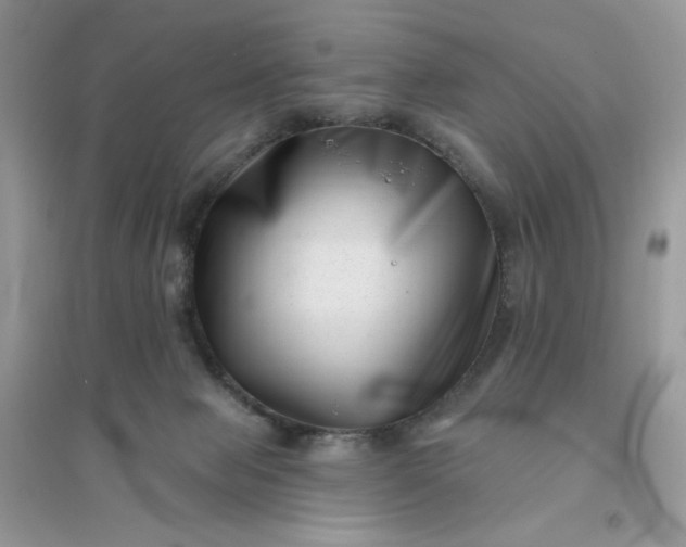 X0000096130077200802011157
