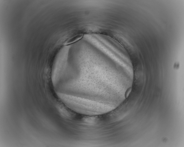 X0000096130079200802011157