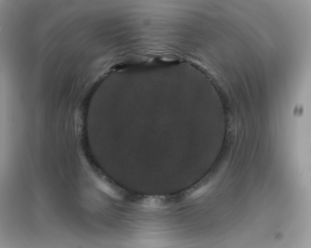 X0000096130080200802011157