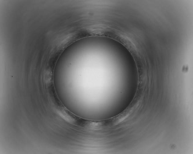 X0000096130081200802011158