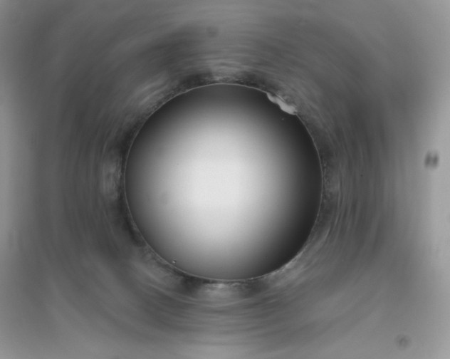 X0000096130082200802011158
