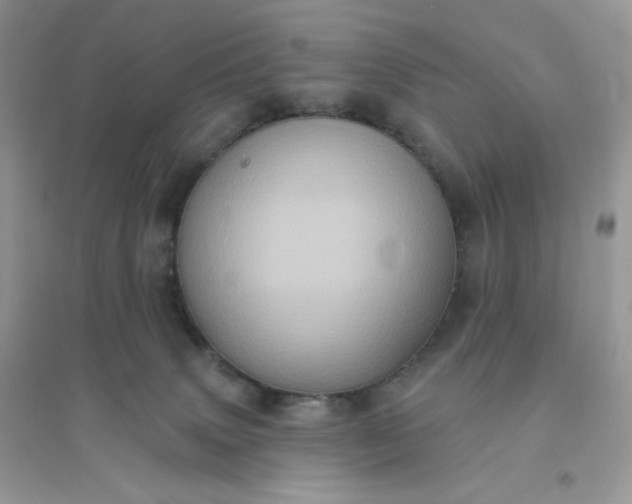 X0000096130083200802011158