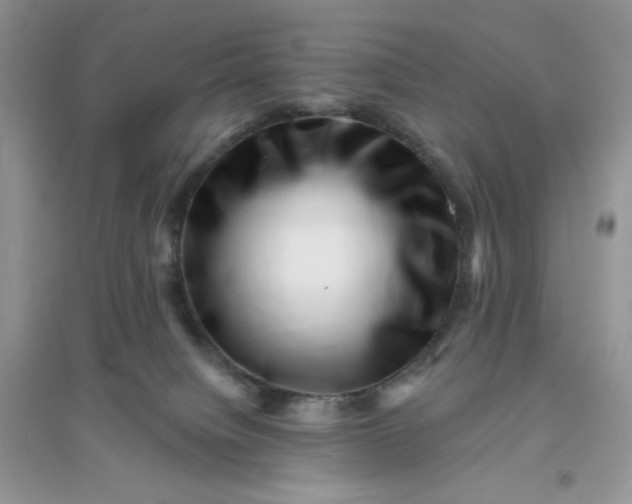 X0000096130084200802011158
