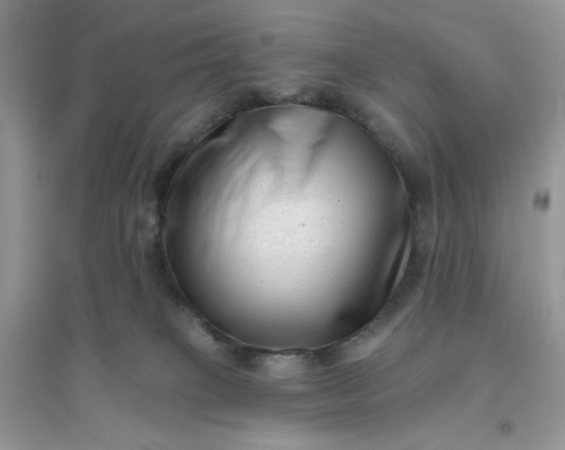 X0000096130085200802011158