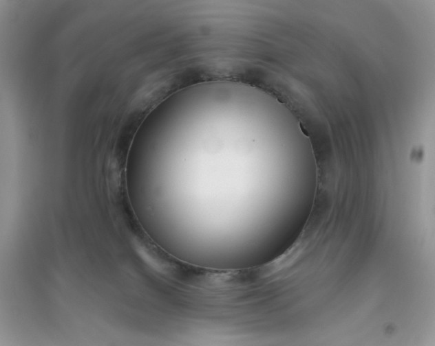 X0000096130086200802011158
