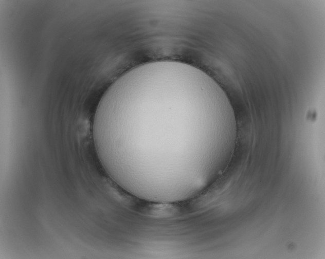 X0000096130087200802011158
