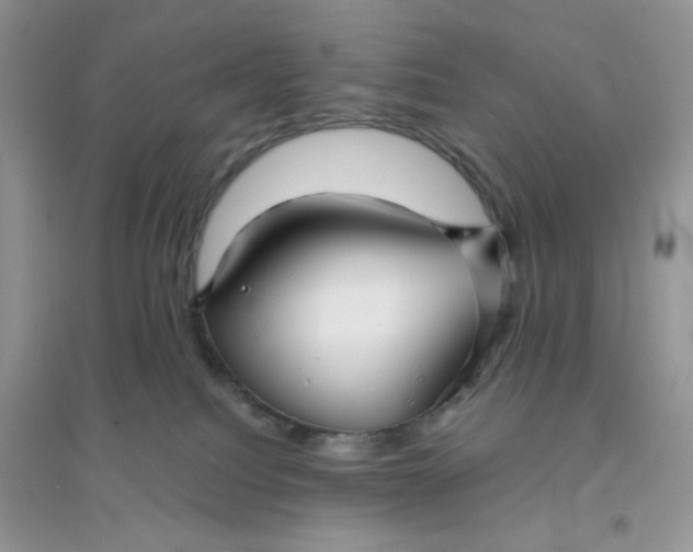 X0000096130088200802011158