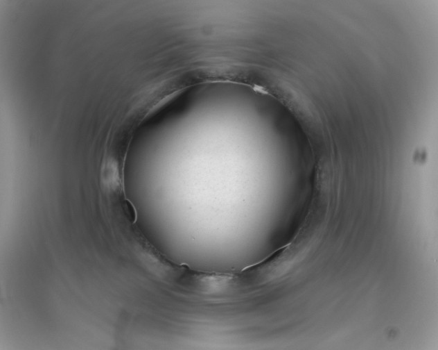 X0000096130089200802011158