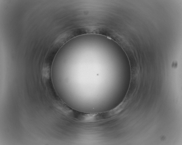 X0000096130090200802011158