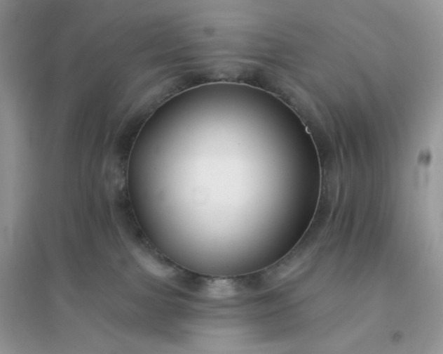 X0000096130091200802011158