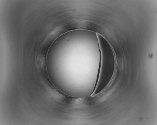 X0000096130092200802011158
