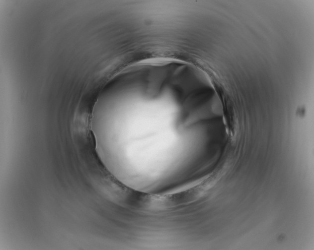 X0000096130093200802011158