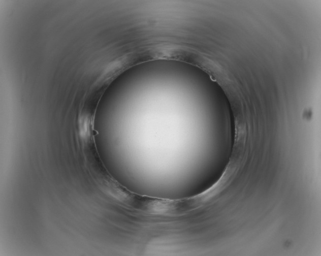 X0000096130094200802011158