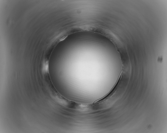 X0000096130095200802011158