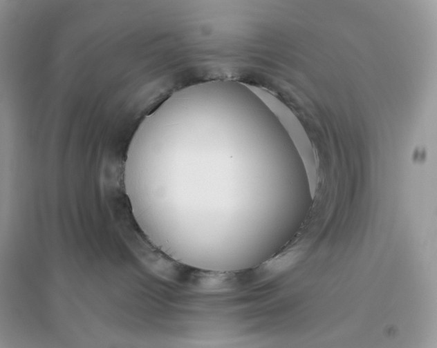 X0000096130096200802011158