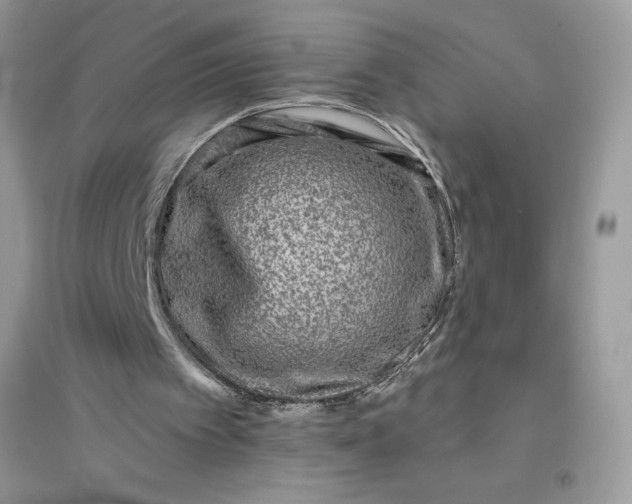 X0000096130097200802011157