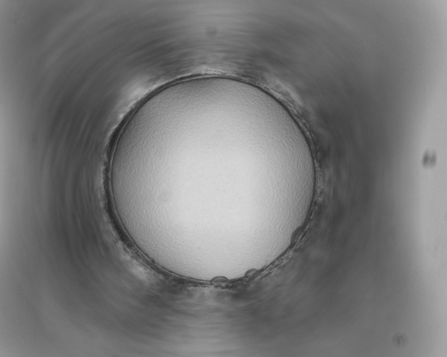X0000096130098200802011157