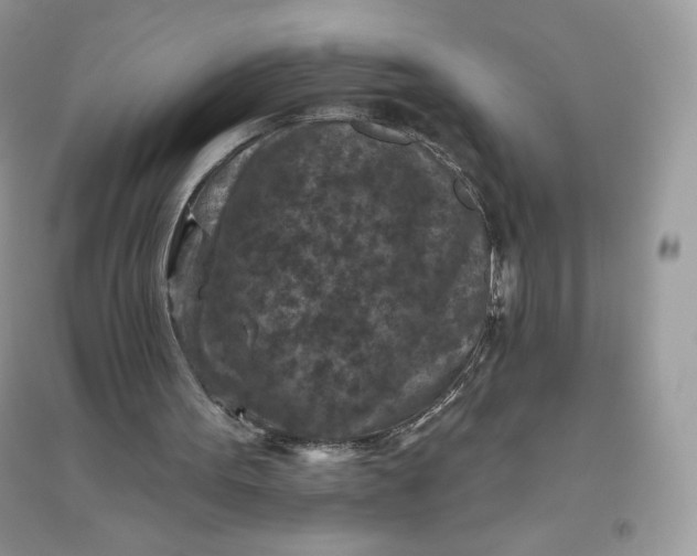 X0000096130099200802011157