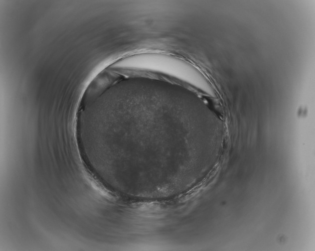 X0000096130100200802011157