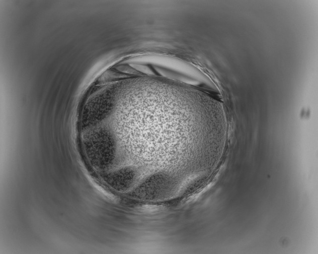 X0000096130101200802011157