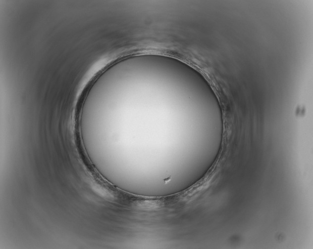 X0000096130102200802011157