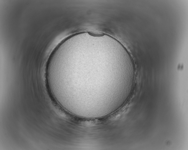 X0000096130103200802011157