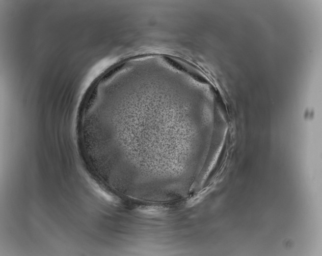 X0000096130104200802011157